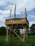 Ontwerp Bureau Niche